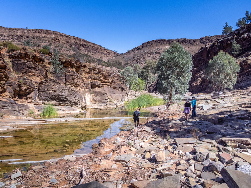 Protecting Natural Waterholes