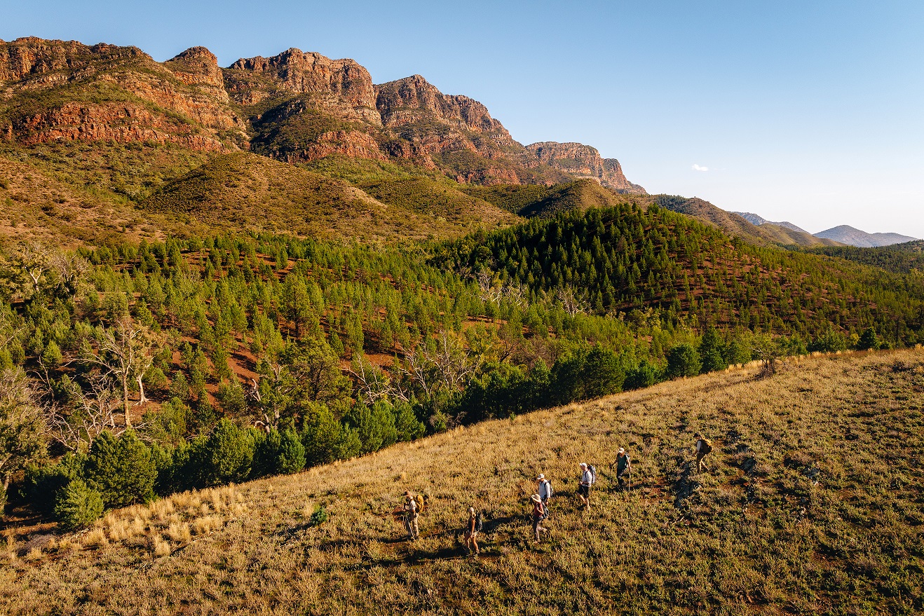 Arkaba January Conservation Report